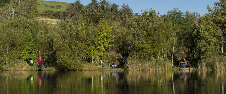 Pleasure Lake – Eisteddfa Fishery